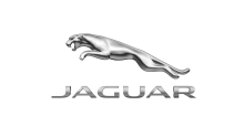Jaguar Autologo